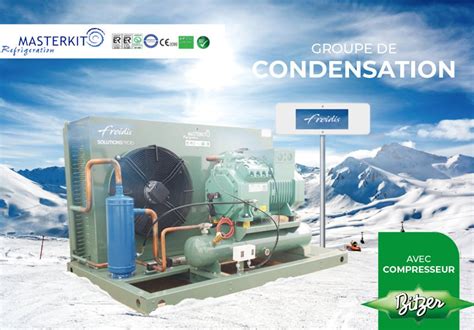 froidis|FROID .